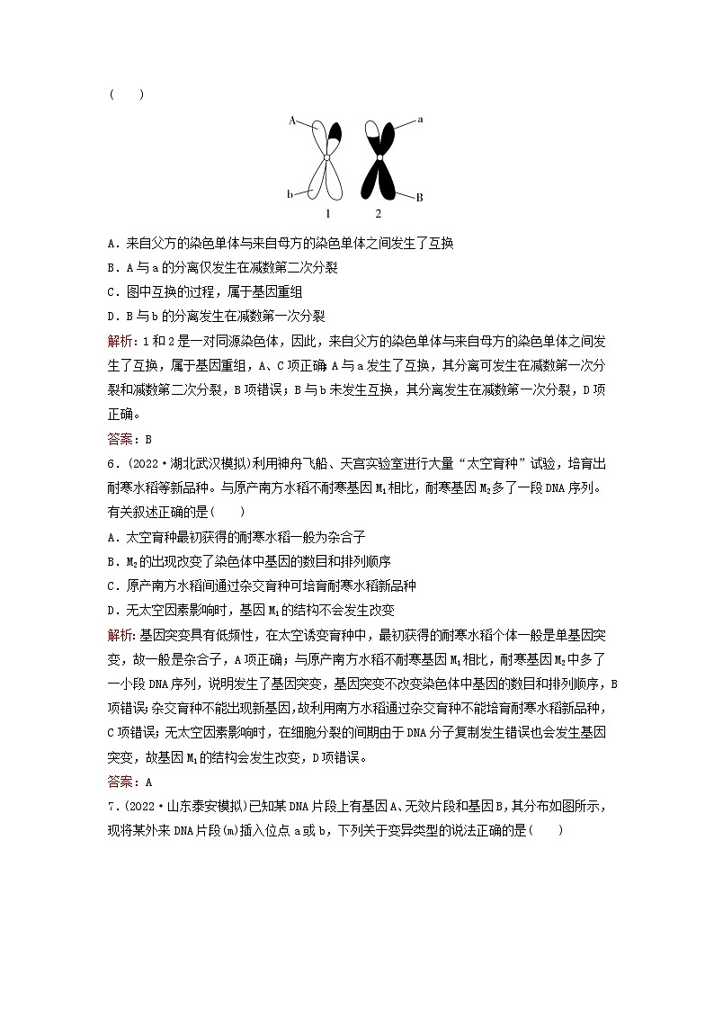 2024届高考生物一轮总复习第七单元生物的变异和进化课时跟踪练19基因突变与基因重组第3页