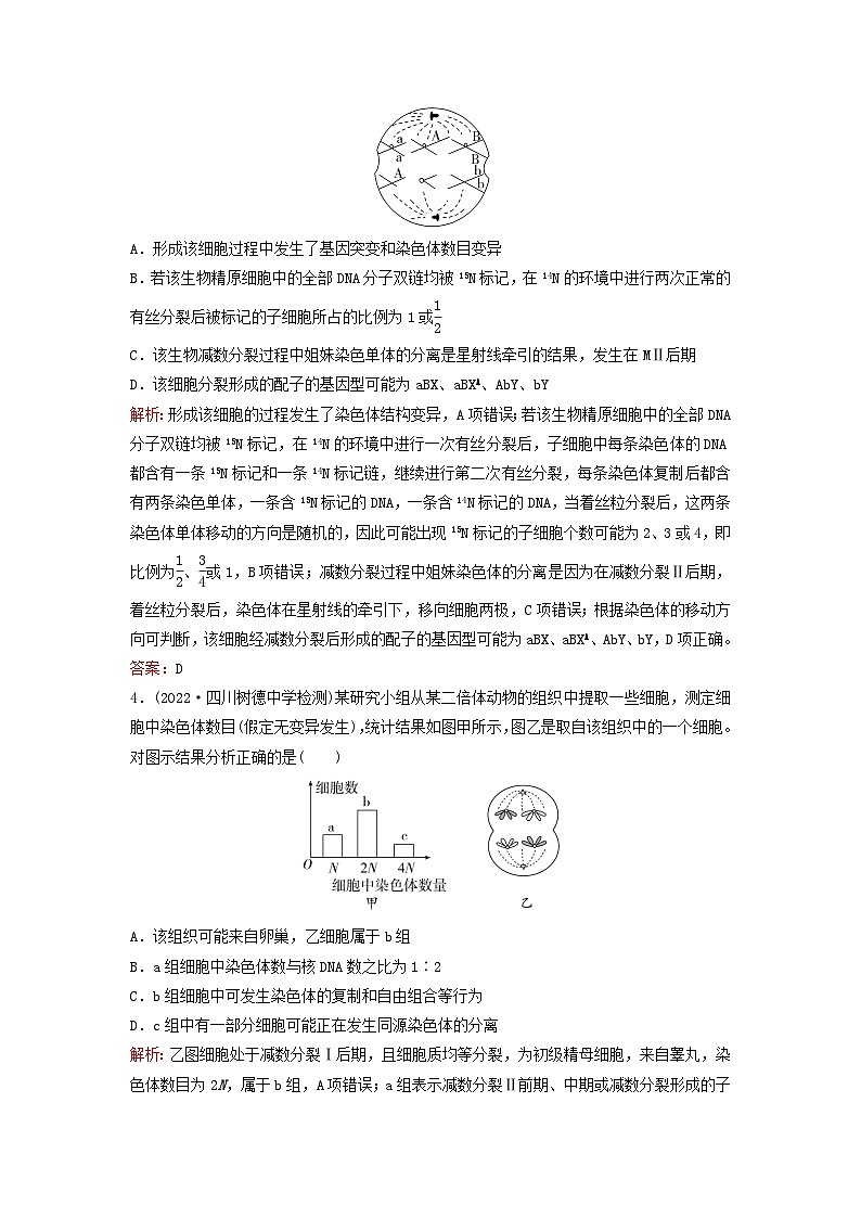 2024届高考生物一轮总复习第四单元细胞的生命历程课时跟踪练11减数分裂和受精作用第2页