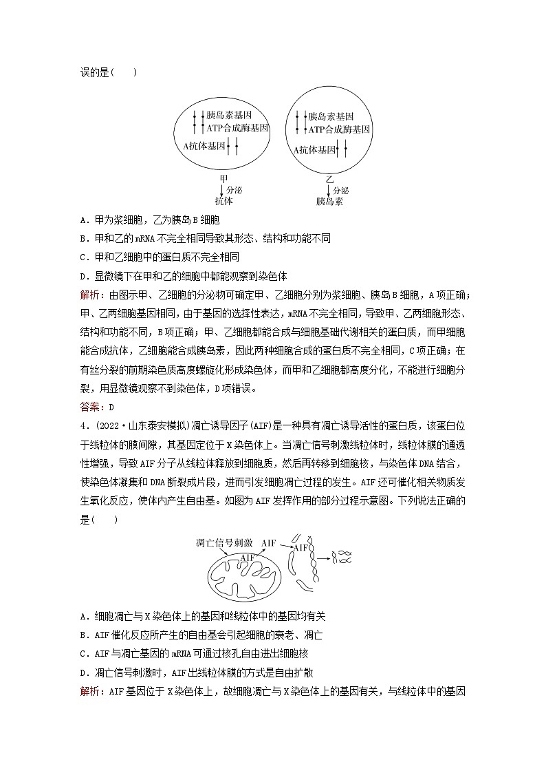 2024届高考生物一轮总复习第四单元细胞的生命历程课时跟踪练12细胞的分化衰老和死亡02