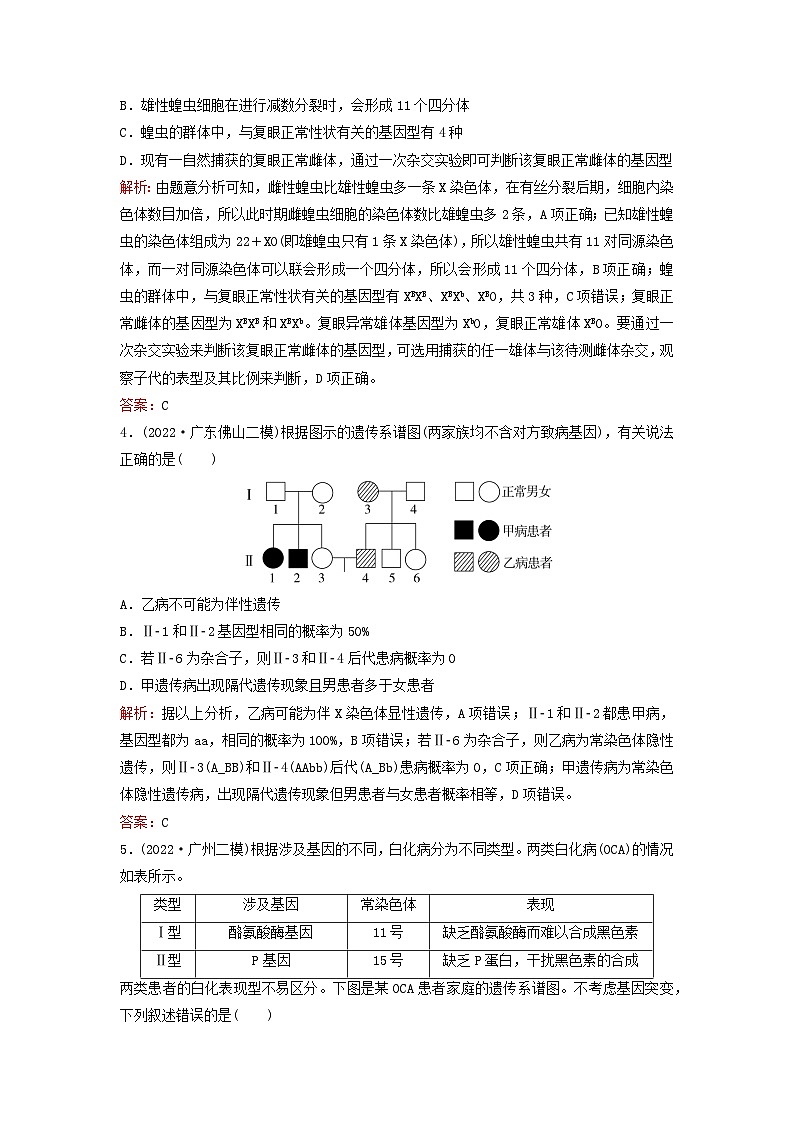 2024届高考生物一轮总复习第五单元遗传的基本规律课时跟踪练15伴性遗传和人类遗传病02