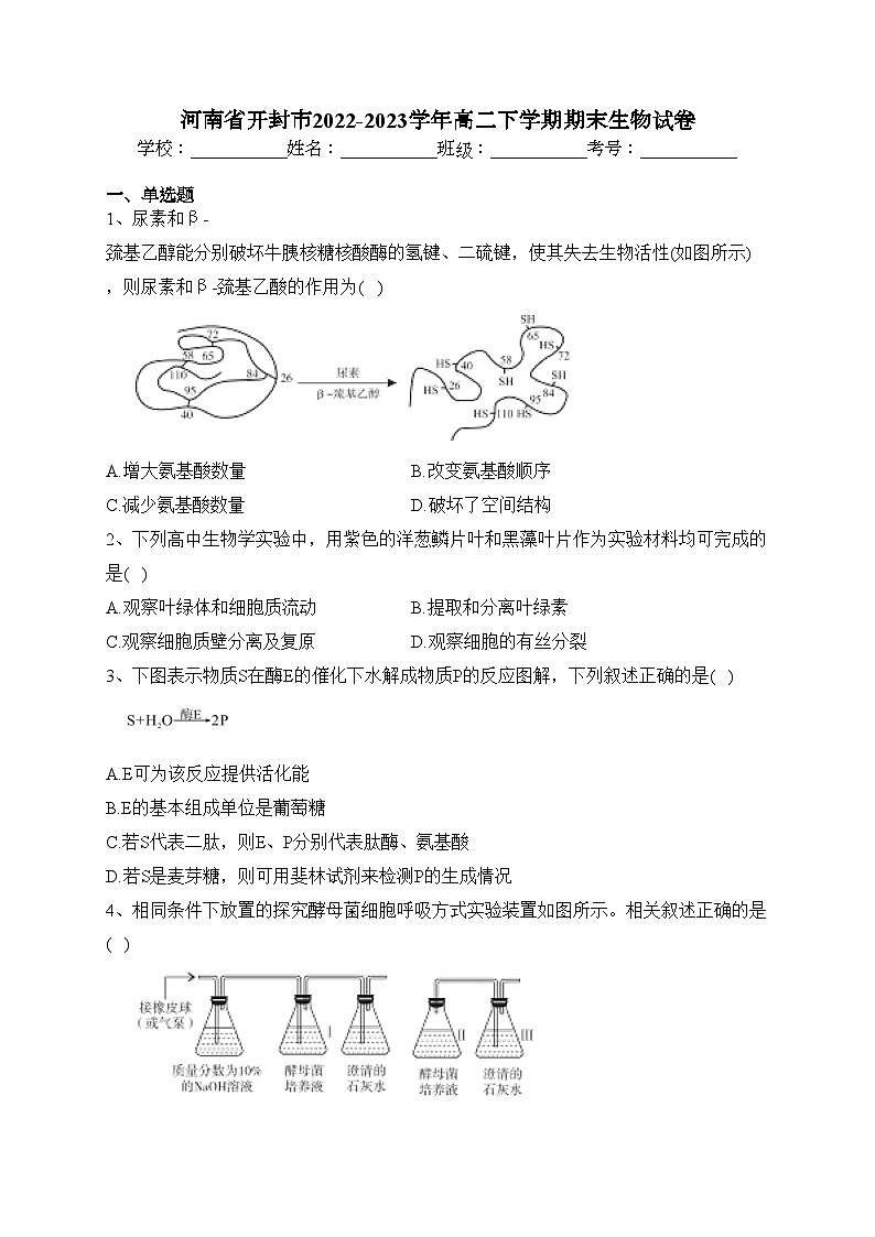 河南省开封市2022-2023学年高二下学期期末生物试卷(含答案)01