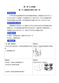 北师大版 (2019)必修1《分子与细胞》第一章 认识细胞第二节 细胞的多样性与统一性教案