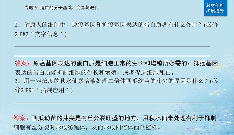 2023高考生物二轮专题复习与测试专题五第8讲生物的变异与进化课件第4页