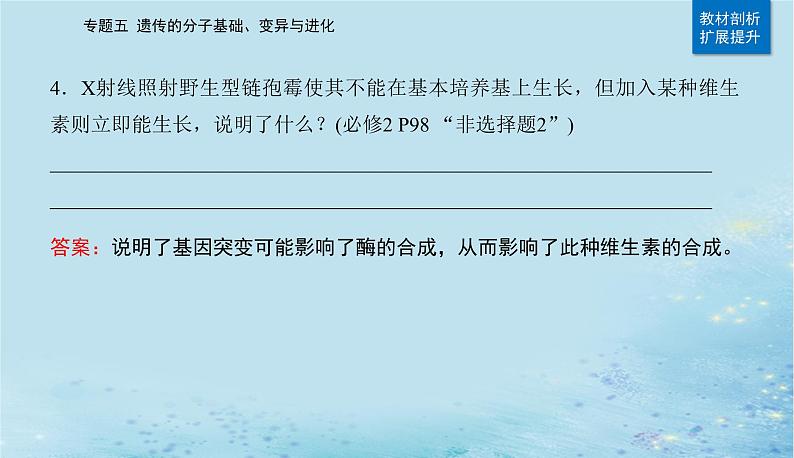 2023高考生物二轮专题复习与测试专题五第8讲生物的变异与进化课件第5页