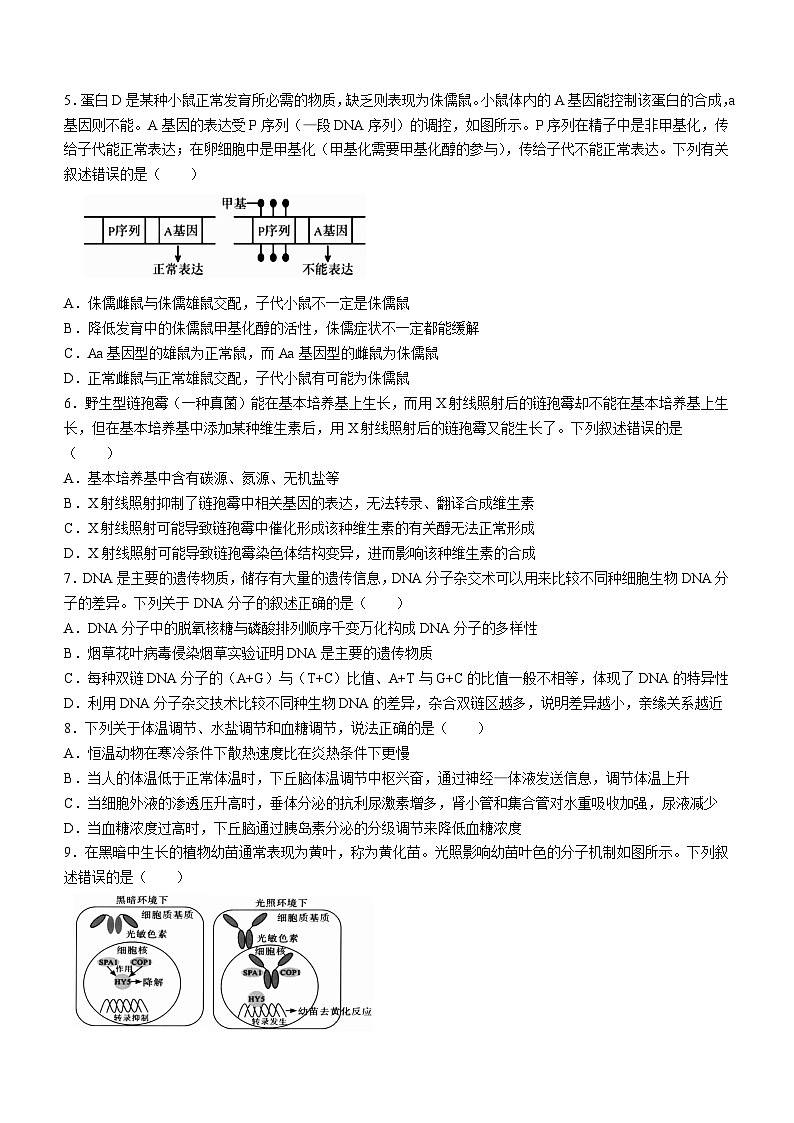 2023郴州高二下學(xué)期期末生物試題含答案第2頁