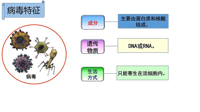2019人教版 第1节 细胞是生命活动的基本单位——病毒专题拓展课件PPT第6页