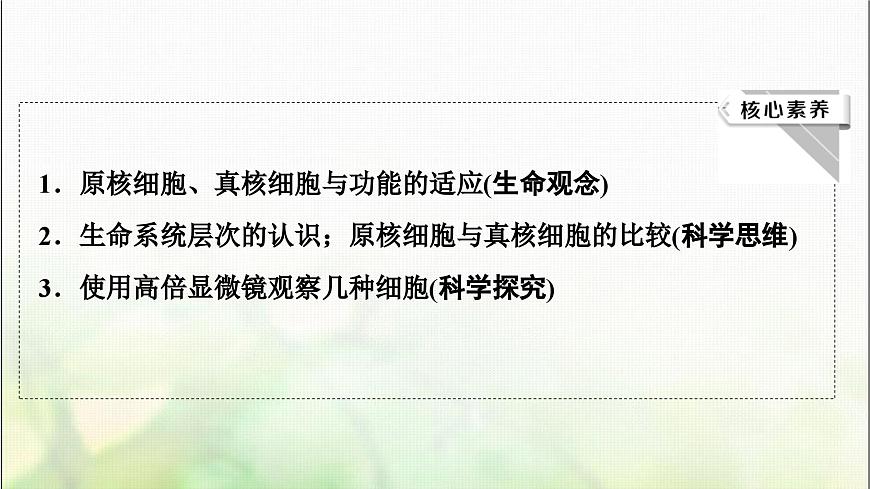 2024屆人教版高考生物一輪復(fù)習(xí)走近細(xì)胞課件第3頁