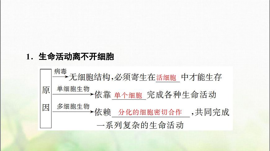 2024屆人教版高考生物一輪復(fù)習(xí)走近細(xì)胞課件第5頁