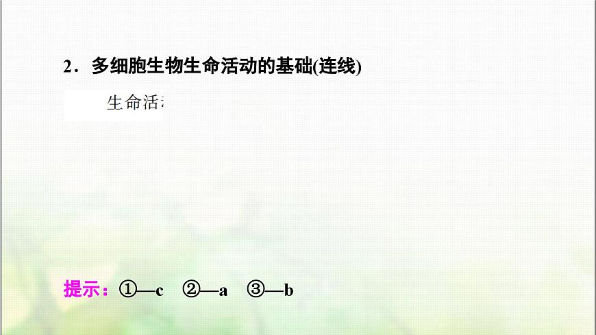 2024屆人教版高考生物一輪復(fù)習(xí)走近細(xì)胞課件第6頁