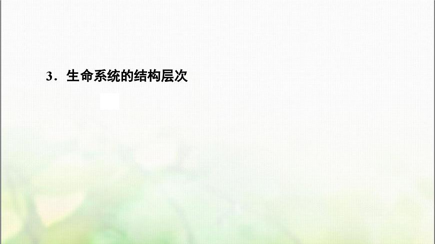 2024屆人教版高考生物一輪復(fù)習(xí)走近細(xì)胞課件第7頁