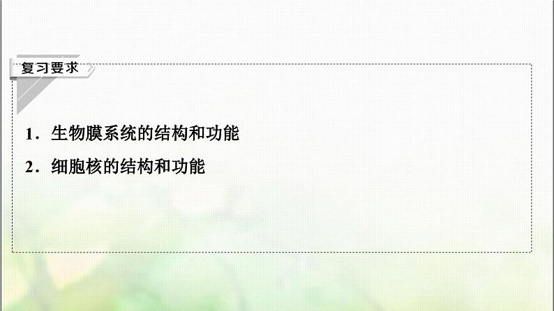 2024届人教版高考生物一轮复习细胞膜和细胞核课件第2页