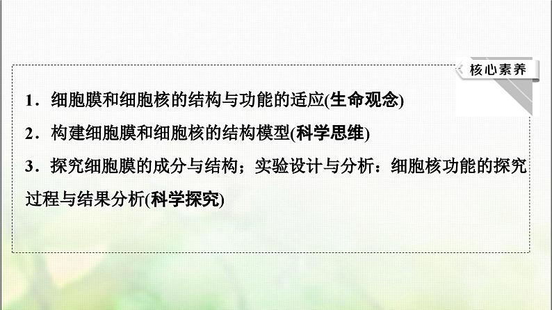 2024届人教版高考生物一轮复习细胞膜和细胞核课件第3页