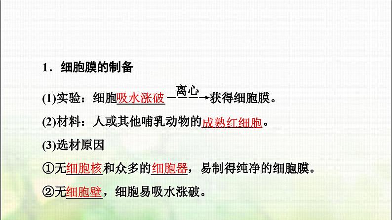2024届人教版高考生物一轮复习细胞膜和细胞核课件第5页