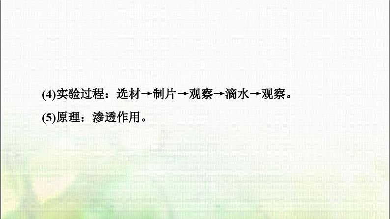 2024届人教版高考生物一轮复习细胞膜和细胞核课件第6页