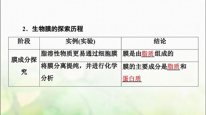 2024届人教版高考生物一轮复习细胞膜和细胞核课件第7页