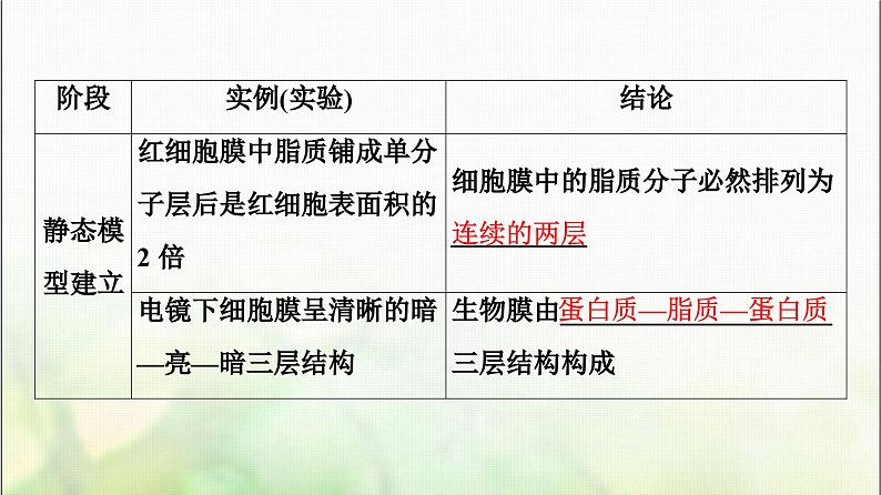 2024届人教版高考生物一轮复习细胞膜和细胞核课件第8页