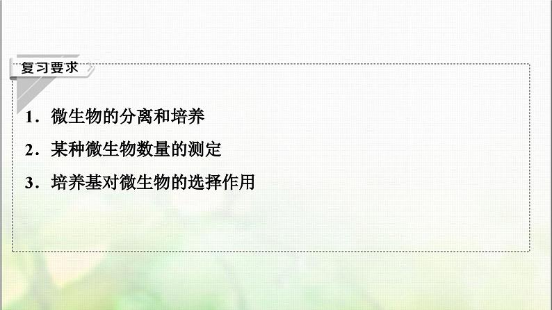 2024届人教版高考生物一轮复习微生物的培养与应用课件第2页