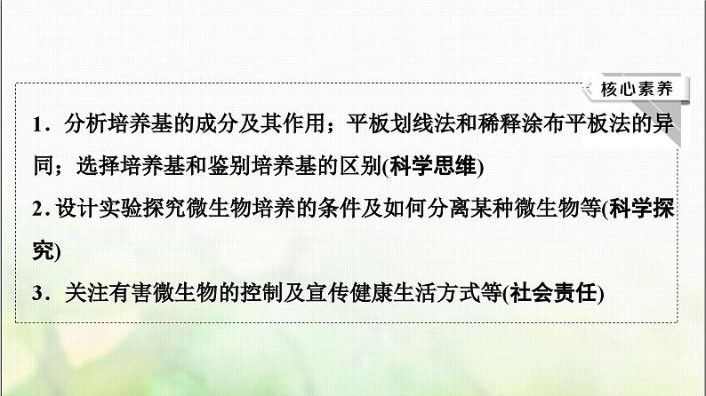 2024届人教版高考生物一轮复习微生物的培养与应用课件第3页
