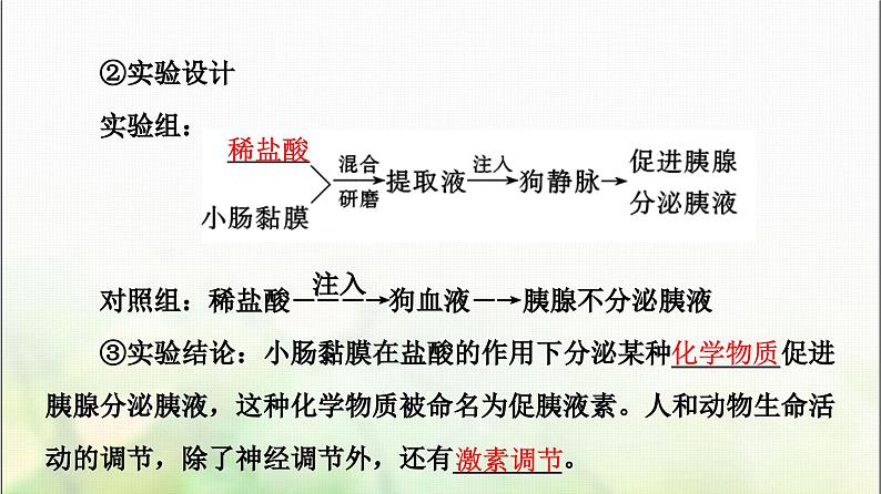2024届人教版高考生物一轮复习通过激素的调节及神经调节与体液调节的关系课件第6页