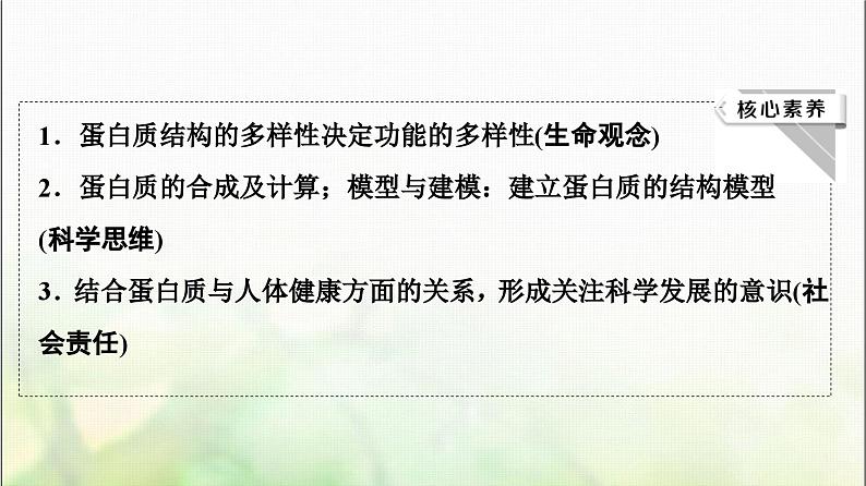 2024届人教版高考生物一轮复习生命活动的主要承担者—蛋白质课件第3页