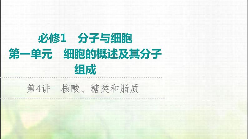 2024届人教版高考生物一轮复习核酸、糖类和脂质课件第1页