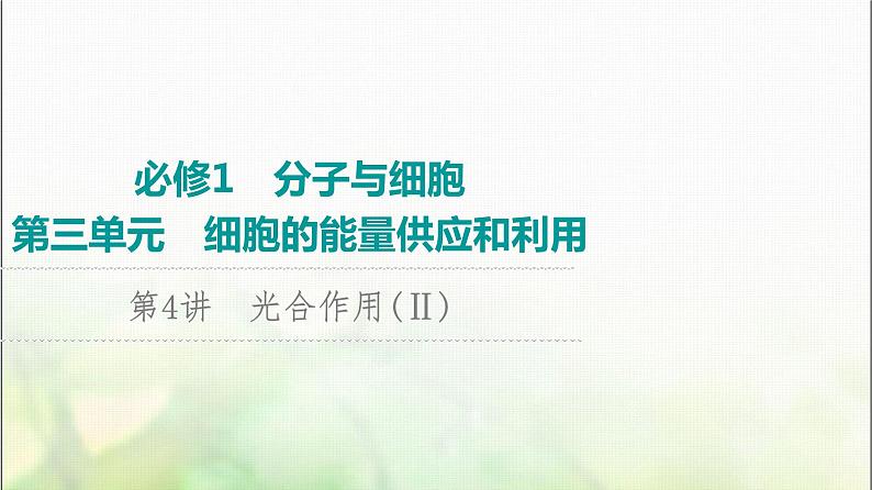 2024届人教版高考生物一轮复习光合作用(Ⅱ)(Ⅰ)课件第1页