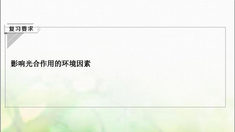 2024届人教版高考生物一轮复习光合作用(Ⅱ)(Ⅰ)课件第2页
