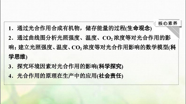 2024届人教版高考生物一轮复习光合作用(Ⅱ)(Ⅰ)课件第3页