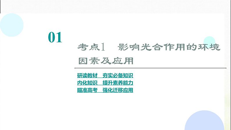 2024届人教版高考生物一轮复习光合作用(Ⅱ)(Ⅰ)课件第4页
