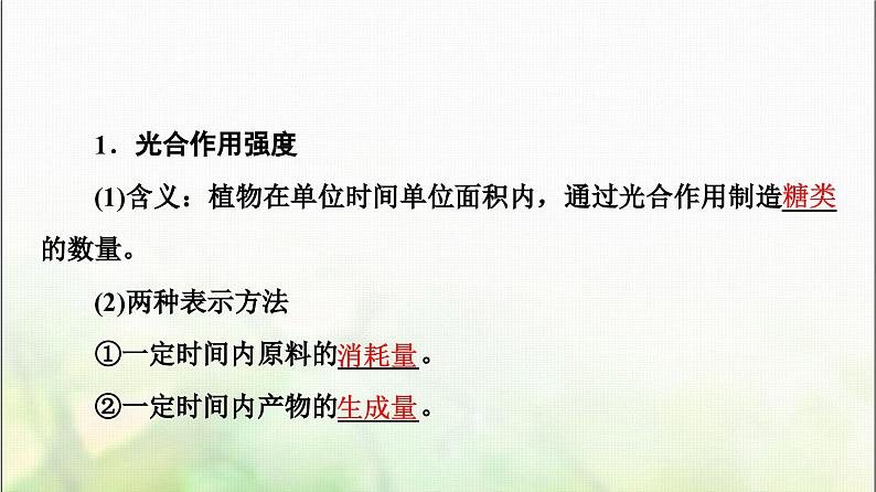 2024届人教版高考生物一轮复习光合作用(Ⅱ)(Ⅰ)课件第5页
