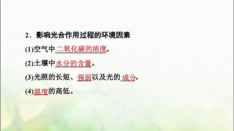 2024届人教版高考生物一轮复习光合作用(Ⅱ)(Ⅰ)课件第6页