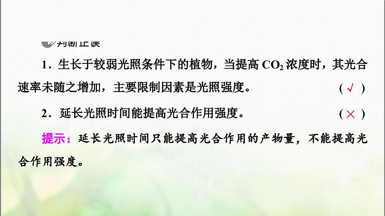 2024届人教版高考生物一轮复习光合作用(Ⅱ)(Ⅰ)课件第7页