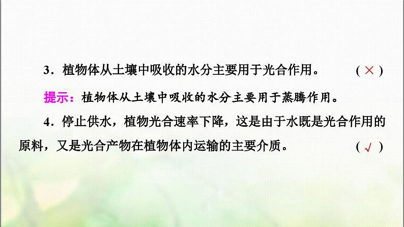 2024届人教版高考生物一轮复习光合作用(Ⅱ)(Ⅰ)课件第8页