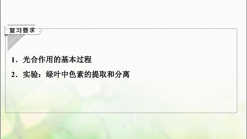 2024届人教版高考生物一轮复习光合作用(Ⅰ)课件第2页