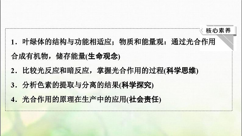 2024届人教版高考生物一轮复习光合作用(Ⅰ)课件第3页
