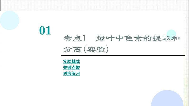 2024届人教版高考生物一轮复习光合作用(Ⅰ)课件第4页