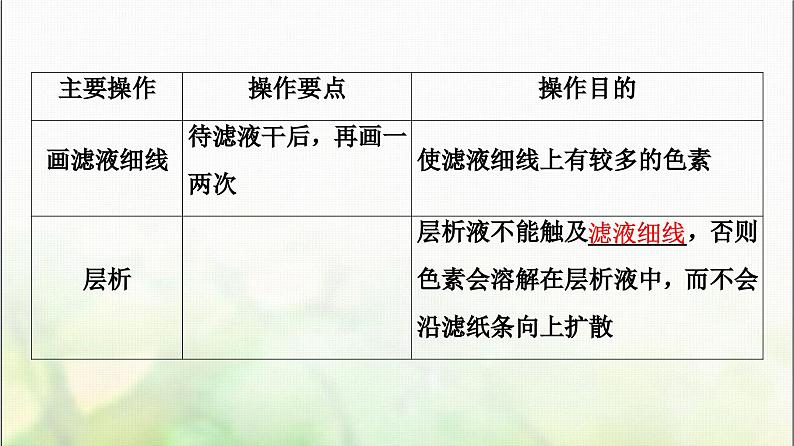 2024届人教版高考生物一轮复习光合作用(Ⅰ)课件第8页