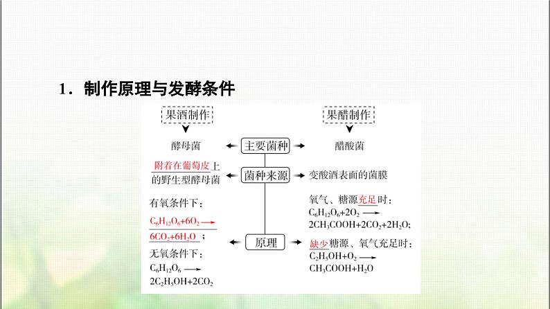 2024届人教版高考生物一轮复习传统发酵技术的应用课件第5页