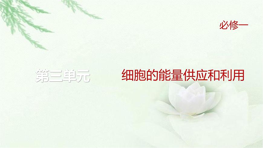 人教版2024屆高考生物一輪復(fù)習(xí)微專題3光合速率和呼吸速率及測定方法教學(xué)課件第1頁