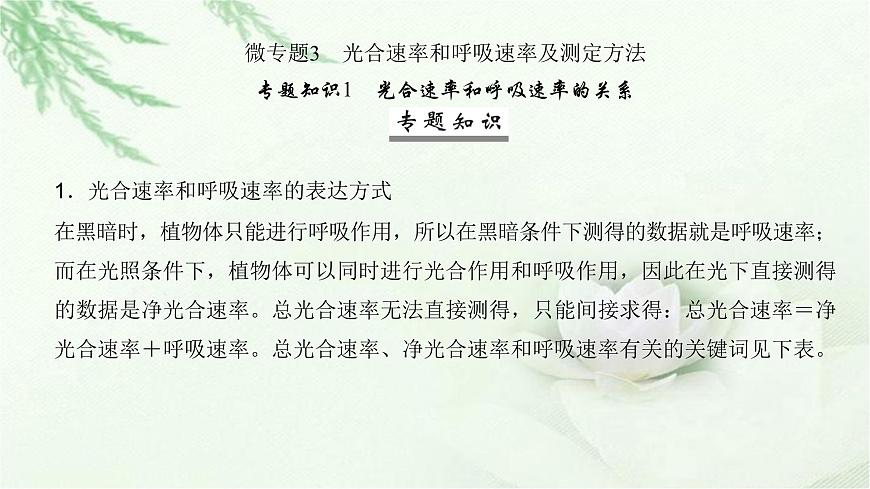 人教版2024屆高考生物一輪復(fù)習(xí)微專題3光合速率和呼吸速率及測定方法教學(xué)課件第2頁
