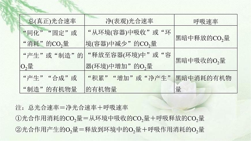 人教版2024屆高考生物一輪復(fù)習(xí)微專題3光合速率和呼吸速率及測定方法教學(xué)課件第3頁