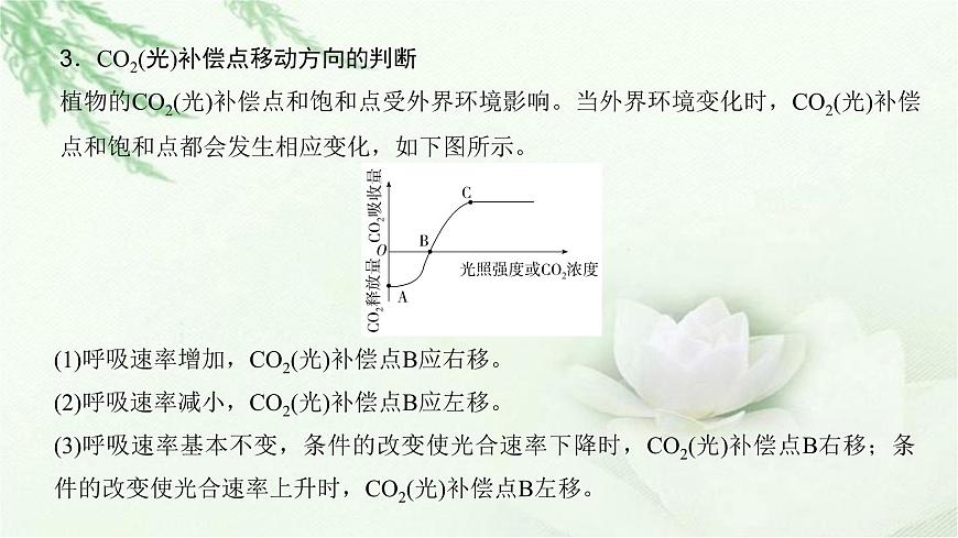 人教版2024屆高考生物一輪復(fù)習(xí)微專題3光合速率和呼吸速率及測定方法教學(xué)課件第5頁