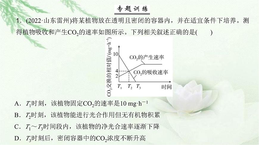 人教版2024屆高考生物一輪復(fù)習(xí)微專題3光合速率和呼吸速率及測定方法教學(xué)課件第6頁