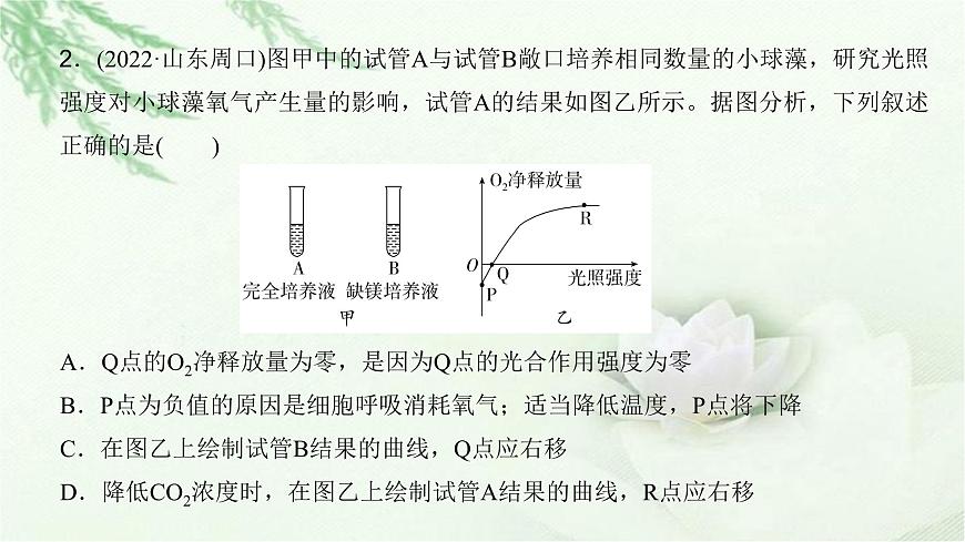 人教版2024屆高考生物一輪復(fù)習(xí)微專題3光合速率和呼吸速率及測定方法教學(xué)課件第8頁