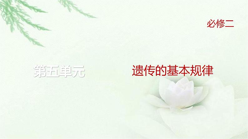 人教版2024届高考生物一轮复习微专题5分离定律遗传的特殊问题教学课件第1页