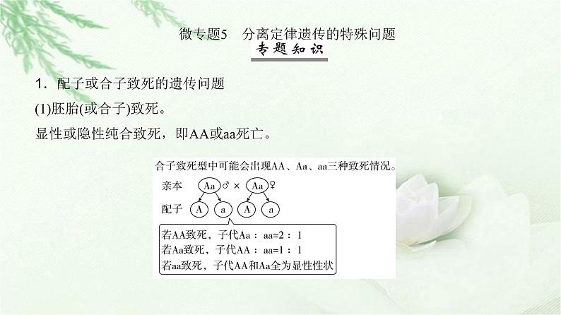 人教版2024届高考生物一轮复习微专题5分离定律遗传的特殊问题教学课件第2页