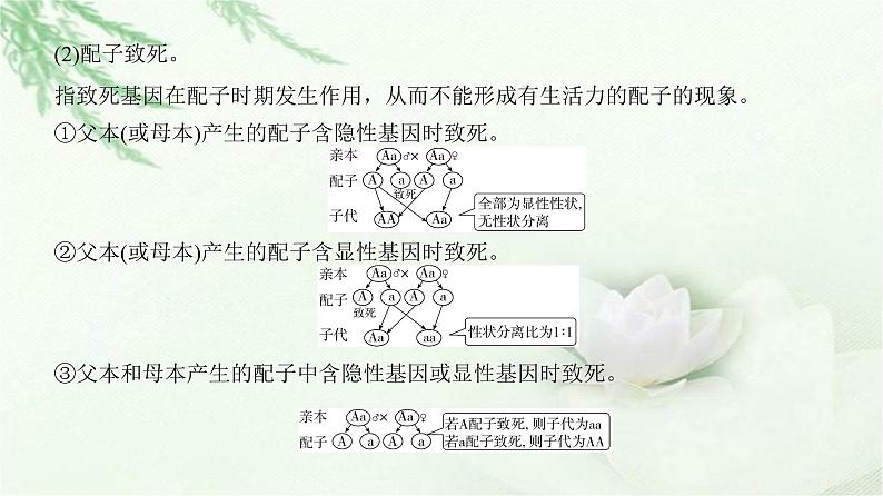 人教版2024届高考生物一轮复习微专题5分离定律遗传的特殊问题教学课件第3页