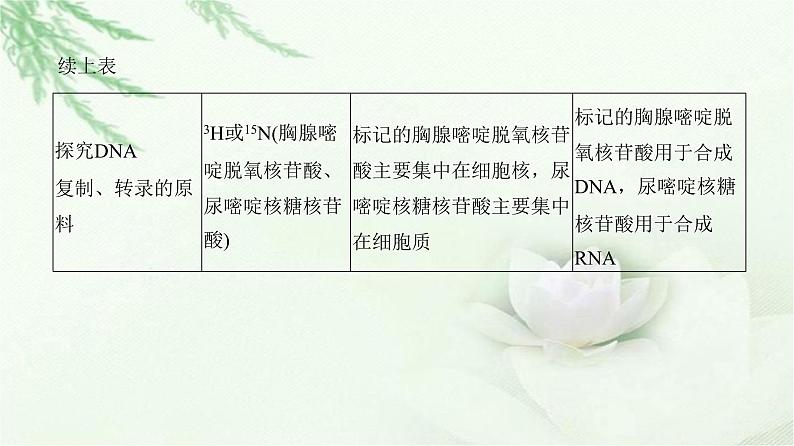 人教版2024届高考生物一轮复习微专题8同位素标记法及其应用教学课件第4页