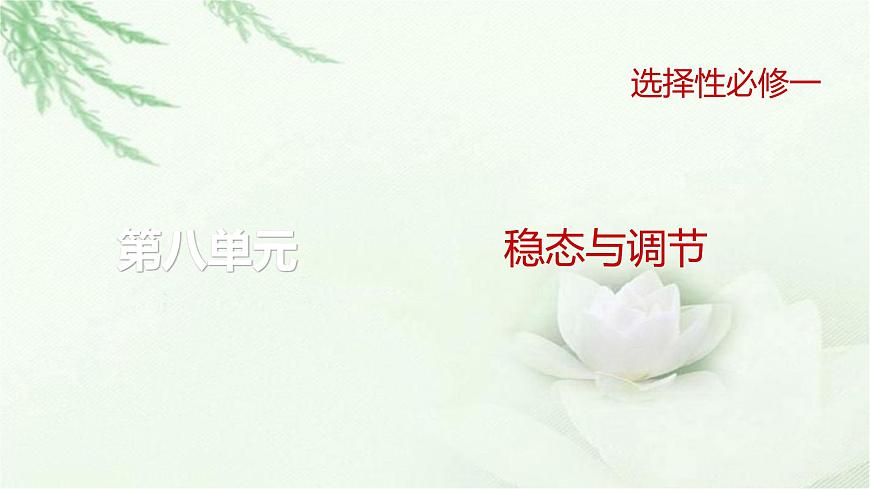 人教版2024屆高考生物一輪復(fù)習(xí)微專(zhuān)題10神經(jīng)調(diào)節(jié)中興奮傳導(dǎo)與傳遞的實(shí)驗(yàn)探究教學(xué)課件第1頁(yè)