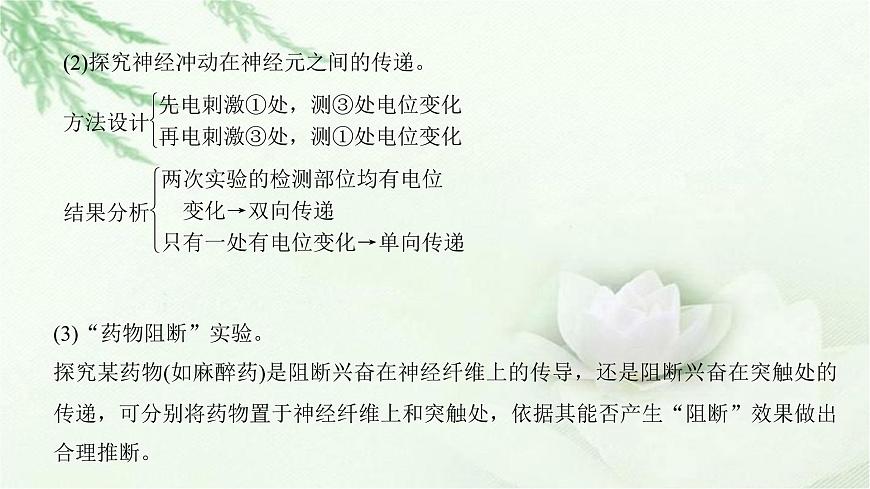 人教版2024屆高考生物一輪復(fù)習(xí)微專(zhuān)題10神經(jīng)調(diào)節(jié)中興奮傳導(dǎo)與傳遞的實(shí)驗(yàn)探究教學(xué)課件第7頁(yè)